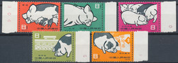 1960 China PRC S40 Pig Complete Set - MNH - Unused Stamps