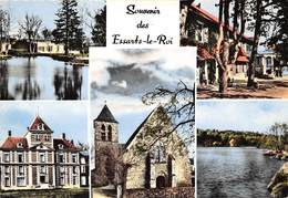 78-LES-ESSART-LE-ROI- MULTIVUES - Les Essarts Le Roi