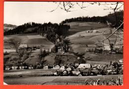 FKD-09  Kurhaus Dorfberg Langnau I. Emmental. Gelaufen In 1969. Gross Format - Langnau Im Emmental