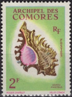 COMORES Poste  21 * MLH Coquillage Shell (CV 3,50 €) - Used Stamps