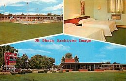 259401-Indiana, Indianapolis, Catalina Motel, US Highway 40, Duke Crawford By Dexter Press No 14084-C - Indianapolis