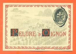 étiquette Ancienne Vin De Pelure D'oignon - 75 Cl - Rosés