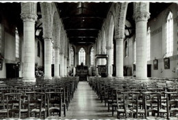 Rumbeke   Binnenzicht Van De Parochiekerk St Petrus - Roeselare