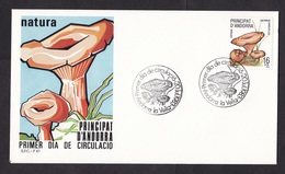 Andorra: FDC First Day Cover, 1983, 1 Stamp, Mushroom, Fungus (traces Of Use) - Cartas & Documentos