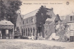 Wespelaar - Hoeve Van Het Kasteel - Haacht