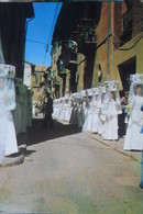 Procession Filles Santo Domingo Calzada - La Rioja (Logrono)