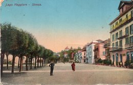 LAGO MAGGIORE-STRESA-VIAGGIATA 1913 - Verbania