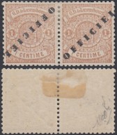 Luxembourg 1875 - A Pair De Timbres Neuf Avec Trace Charnière Mi Nr.: 10 II Prifix Nr. 24. Ref. (EB) DC-MV-409 - Other & Unclassified