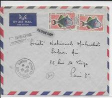 SOMALIS - 1960 - ENVELOPPE AVION AVEC AFFRANCHISSEMENT INSUFFISANT => Par PAQUEBOT De DJIBOUTI  => PARIS - Cartas & Documentos