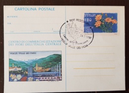 ITALIE Oeillets, Fleurs, Fleurs, Flowers, Entier Postal Obliteration Thematique 28/8/80 - Other & Unclassified