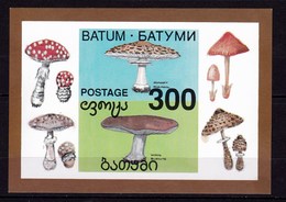 Feuillet Neuf** De Batum Champignon Champignons Mushroom Setas Pilze - Mushrooms