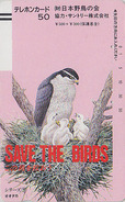 TC Ancienne JAPON / 110-5996 - Série 1 SAVE THE BIRDS - 9/60 - OISEAU AUTOUR - BIRD JAPAN Front Bar Phonecard 4251 - Arenden & Roofvogels