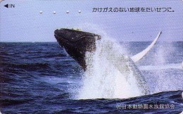 Télécarte Japon / 110-011 - ANIMAL - BALEINE - WHALE Japan Phonecard - WAL TK - BALLENA - 294 - Delphine