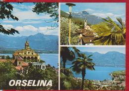 ORSELINA SWITZERLAND POSTCARD UNUSED - Orselina