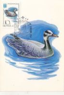 BIRDS, BAR HEADED GOOSE, CM, MAXICARD, CARTES MAXIMUM, OBLIT FDC, 1982, RUSSIA - Ganzen