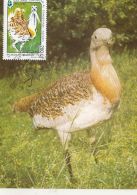 BIRDS, GREAT BUSTARD, CM, MAXICARD, CARTES MAXIMUM, 1995, ROMANIA - Grues Et Gruiformes