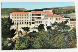 CPSM Algérie Tiaret Collège Moderne De Garçons Blanchard De Lery Architecte - Tiaret