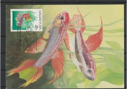 Carte Maximum  THEME  POISSON . - Tarjetas – Máximo