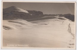 Auftieg Zur Kammerköhr - Lofer