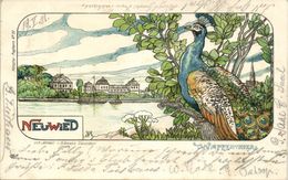 NEUWIED, Wappenthier, Panorama Mit Pfau (1901) Litho AK - Neuwied