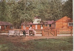 18/10/282  - SAINT- VRAIN  ( 91 )  -  FERME  DES  ANIMAUX  FAMILIERS  - C P M - Saint Vrain