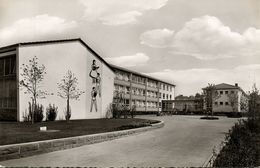 SINSHEIM, Elsenz, Volksschule (1950s) AK - Sinsheim