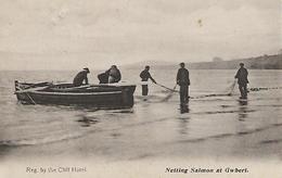 Early Postcard, Wales, Gwbert, Ceredigion, Fishing, Netting Salmon, Cliff Hotel. 1910. - Cardiganshire