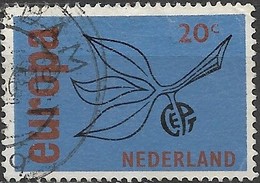 NETHERLANDS 1965 Europa - 20c Europa Sprig FU - Usados
