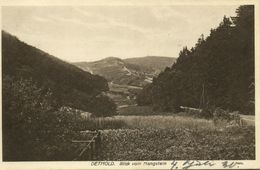 DETMOLD, Blick Vom Hangstein (1930) AK - Detmold