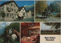 Hotel Falknis - Maienfeld - Photo: Fetzer - Maienfeld