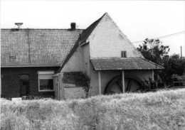 ANZEGEM (W.Vl.) - Molen/moulin - Watermolen 'Hof Ter Walskerke' In 1985 Met Wuivend Graan Op De Voorgrond. TOP! - Anzegem