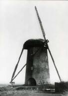 BALEN (Antw.) - Molen/moulin - Historische Opname Van De Steegmolen Met Twee Wieken (ca. 1935) - Afgebroken In 1950. - Balen