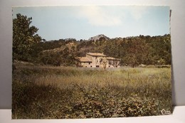 LA ROQUEBRUSSANNE   -   Les Molieres . Au Loin ,les Fontaines   - ( Pas De Reflet Sur L'original ) - La Roquebrussanne