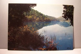 CARCES   -  LE  LAC  - RENDEZ-VOUS DES PECHEURS ET DES FLANEURS- ( Pas De Reflet Sur L'original ) - Carces