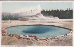 Etats-Unis > WY - Wyoming > Yellowstone Castle Geyser - Yellowstone