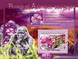 Guinea 2007, Rose, Gorilla, Deer, BF - Gorilas