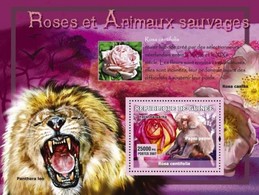 Guinea 2007, Rose, Lion, Monkey, BF - Gorilles