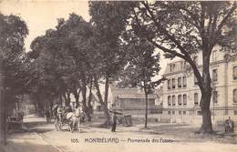 25-MONTBELIARD- PROMENADE DES FOSSES - Montbéliard