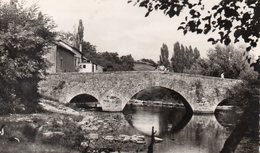 BIDACHE - Le Pont Du Lihoury Et Le Moulin De Roby - Van Eyk 3561 - Petite Dentelée écrite - Tbe - Bidache