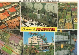 CPA HOLLANDE AALSMEER Diverses Vues Du Centre Mondial Des Fleurs - Aalsmeer