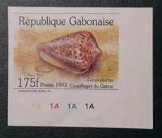 GABON 1993 IMPERF NON DENTELE ND - SHELL SHELLS COQUILLAGE COQUILLAGES - RARE MNH - Muscheln