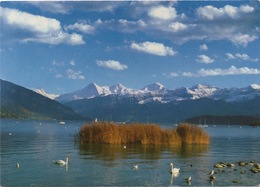 CPSM SUISSE THUNERSEE - Lac De Thoune - Thoune / Thun