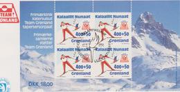 FDC GROENLAND JEUX OLYMPIQUES De LILLEHAMMER 1994 - Winter 1994: Lillehammer