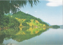 Lauerzersee - Blick Nordwärts           Ca. 1990 - Lauerz