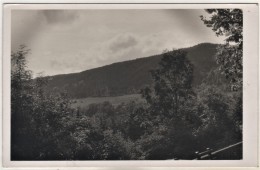 Arnstadt - S/w Blick Von Der Eremitage Plauescher Grund - Arnstadt