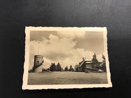 753 - BREND 1150m ü M. Bei FURTWANGEN (Schwarzwalg) - 1946 - Mini Carte Photo - Furtwangen