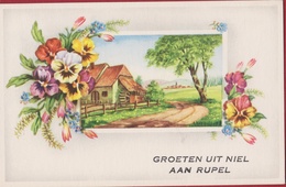 Groeten Uit NIEL Aan Rupel Molen Bloem Viooltje - Niel