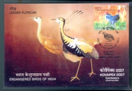 ENDANGERED BIRDS OF INDIA- LESSER FLORICAN - MAXIMUM CARD-INDIA-2007-MC-99 - Grues Et Gruiformes