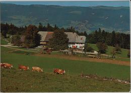 Berg-Restaurant Schwengimatt Ob Balsthal - Photo: Hugo Kopp - Balsthal