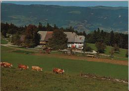 Berg-Restaurant Schwengimatt Ob Balsthal - Photo: Hugo Kopp - Balsthal